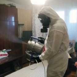 Дезинфекция от клопов в СВАО Москвы